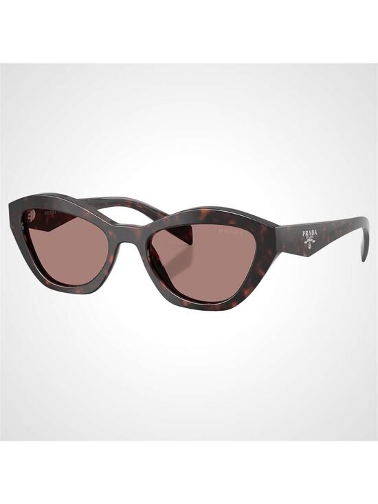 New PRADA Sunglasses Brown Root Tortoise Butterfly Brown Lens